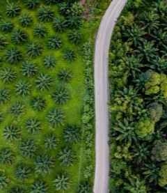 Garantir la préparation à l’assurance ESG ? Ceci est votre guide pratique basé sur une analyse des écarts en trois parties pour obtenir les bonnes informations