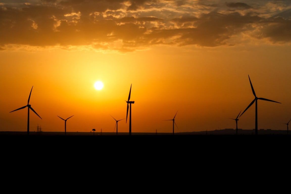 insight featured image