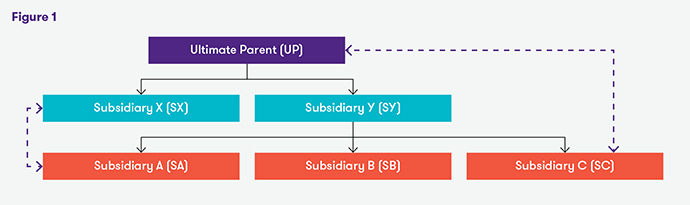 ifrs 2 figure 1