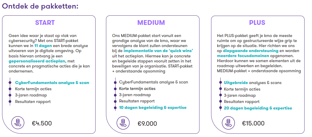 Rapport - IT-Audit en Beheer voor Bedrijven - Tws.be thumbnail