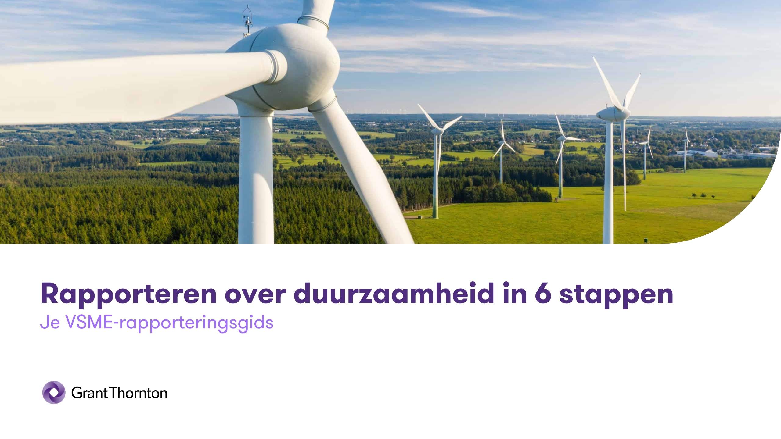 cover-duurzaamheid-ebook-vsme-rapporteringsgids