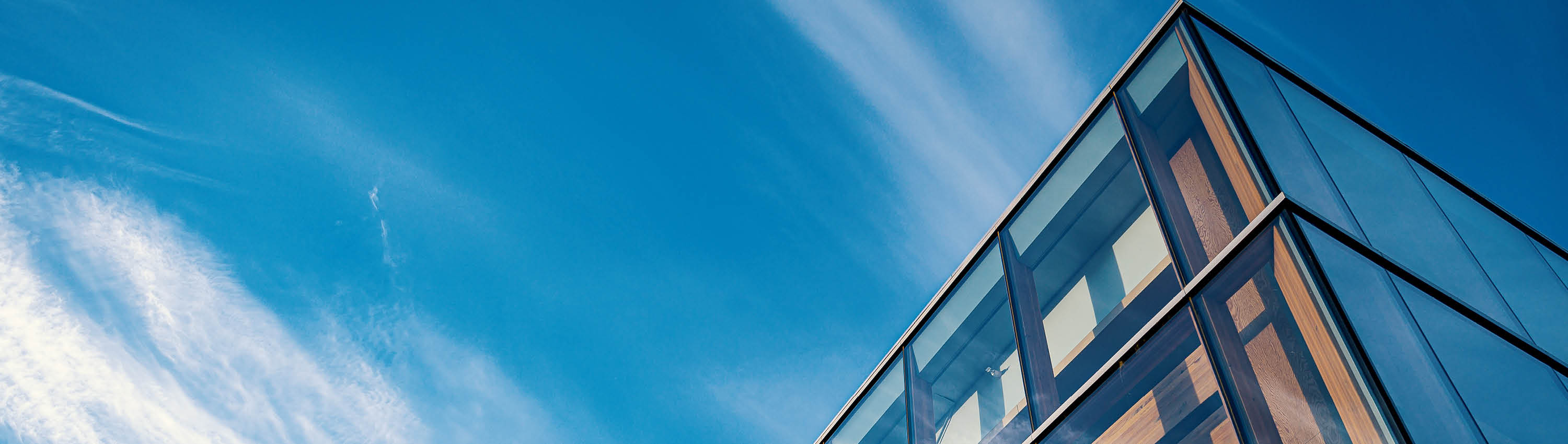 insight featured image