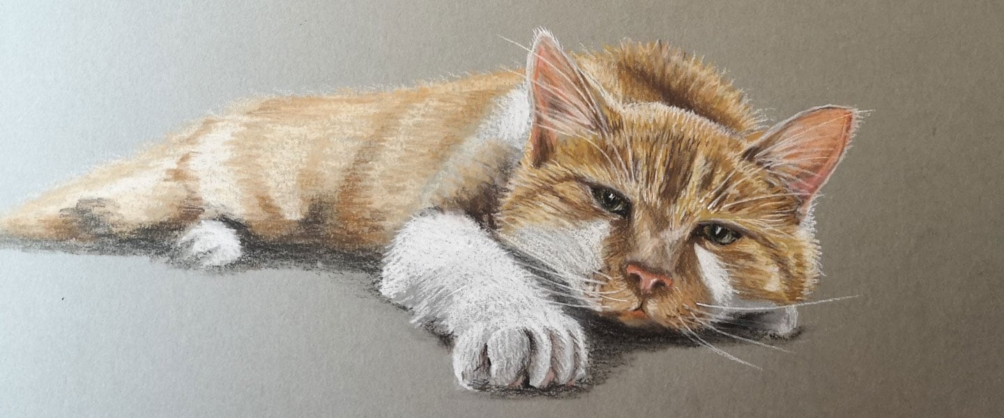 insight featured image